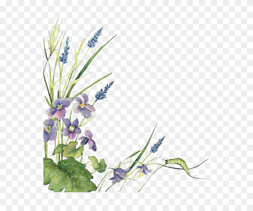 640x640 Ftestickers Watercolor Flowers Border Lavender - Water Color Flowers PNG