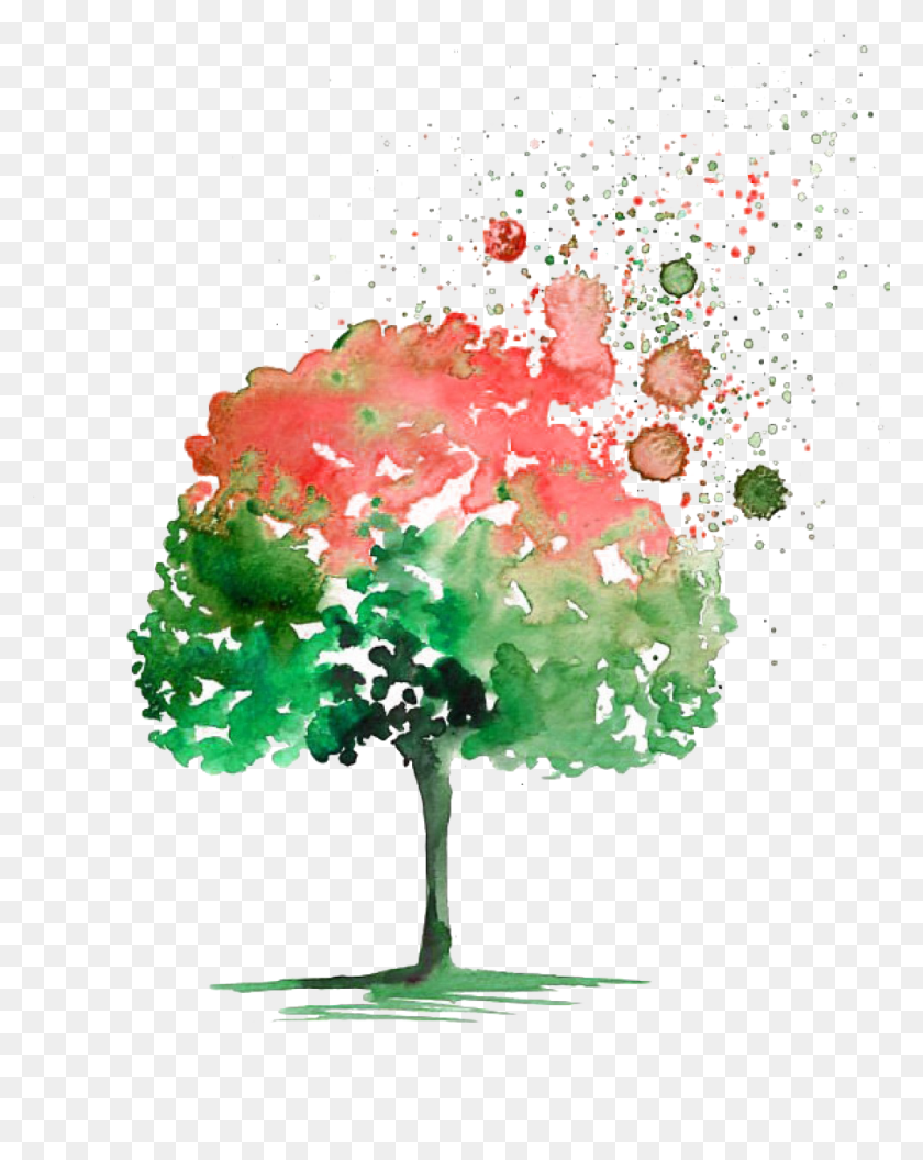 990x1265 Ftestickers Watercolor Tree Painted - Watercolor Tree PNG