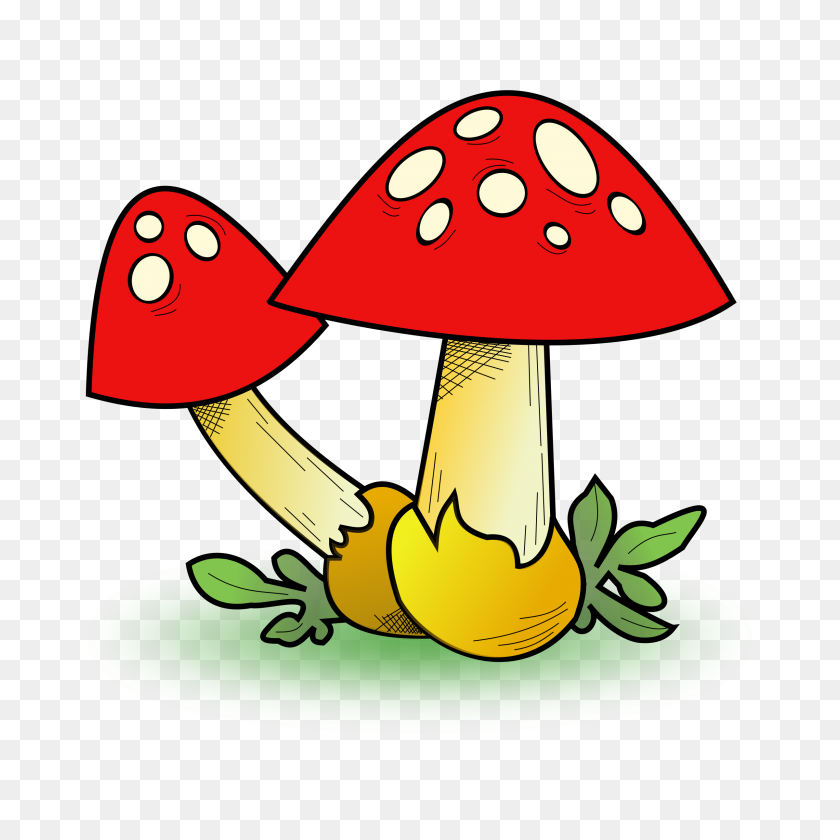 2400x2400 Fungal Forest Icons Png - Forest PNG