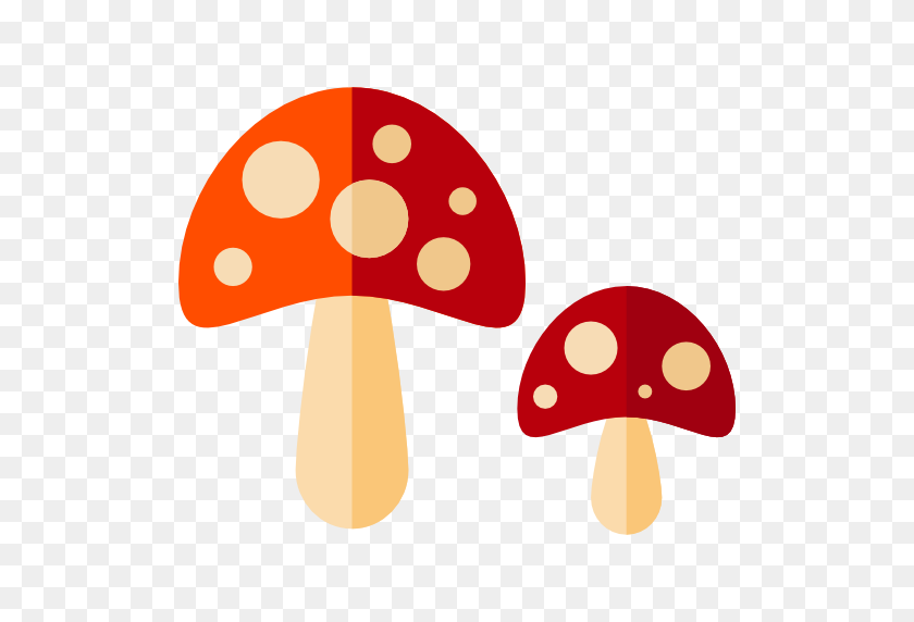 512x512 Fungi, Muscaria, Food And Restaurant, Food, Mushroom, Nature - Mushrooms PNG