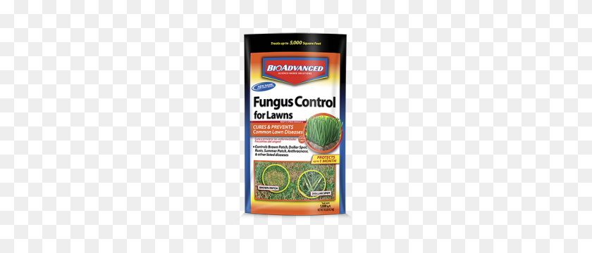 206x300 Fungus Control For Lawns Bioadvanced - Ornamental Grass PNG
