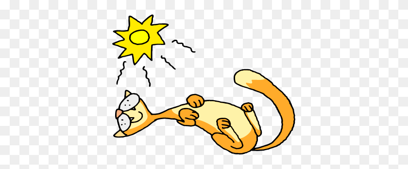 377x289 Смешные Кошки Спящие Картинки Скачать - Спящий Кот Клипарт