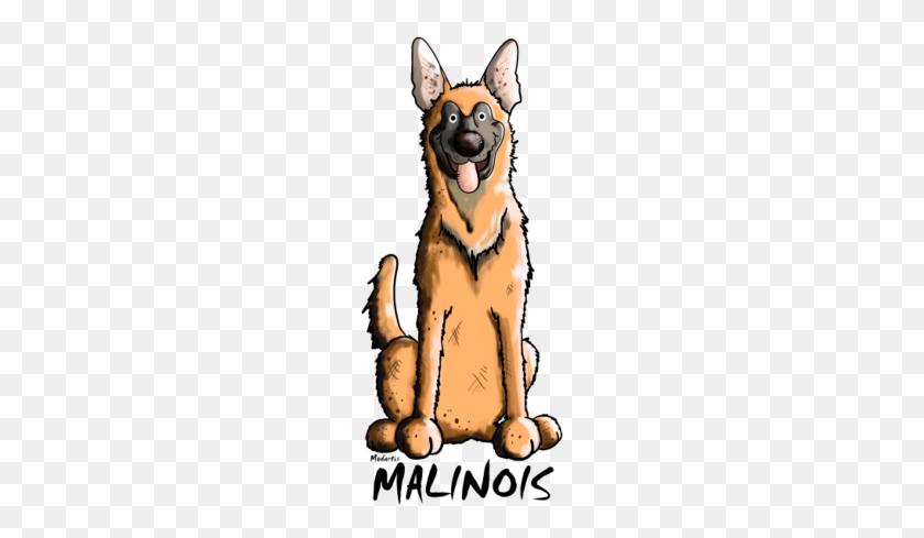 190x429 Funny Malinois - Funny Dog PNG