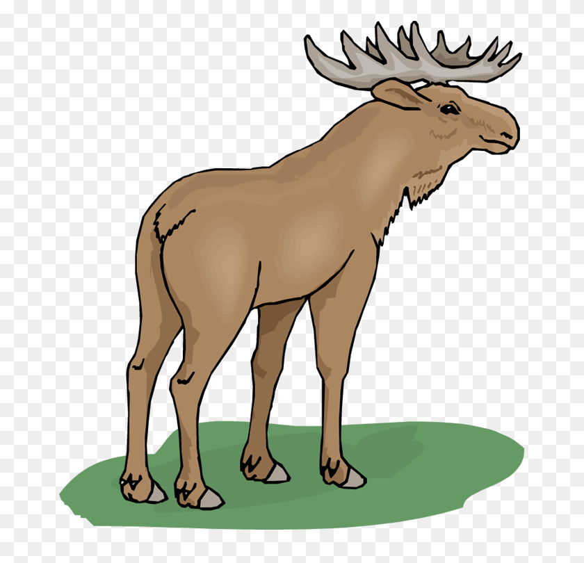 670x750 Funny Moose Clipart - Moose Silhouette PNG