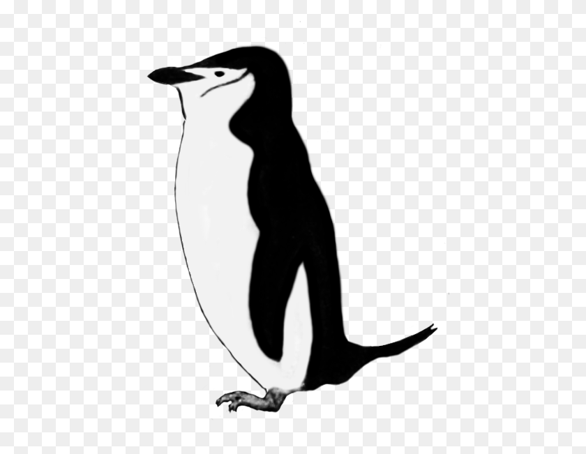 449x591 Imágenes Prediseñadas De Pingüino Divertido - Extraño Gráfico