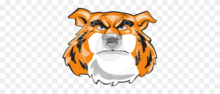361x300 Furry Tiger Head Front - Furry Clipart