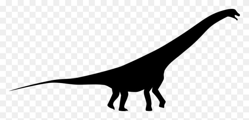 1000x444 Futalognkosaurus Silhouette - Dinosaur Silhouette PNG