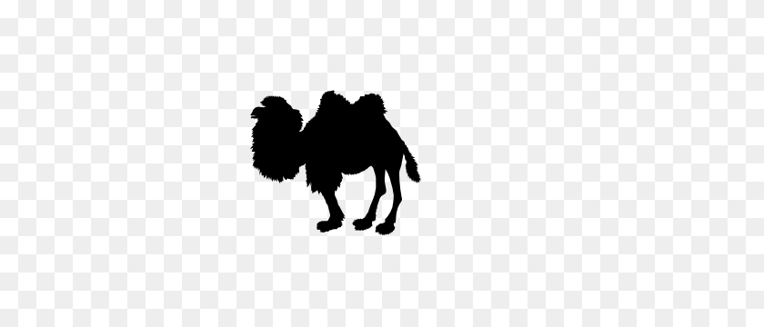 300x300 Наклейка Fuzzy Camel - Черно-Белый Клипарт Верблюд