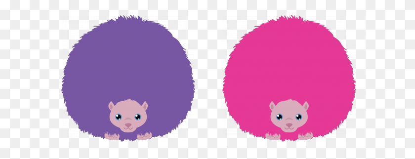 690x262 Fwooper Foundation Launches Adopt A Pygmy Puff Campaign - Puff Clipart