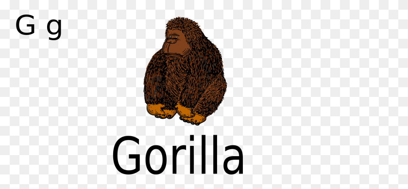 2400x1017 G For Gorilla Icons Png - Gorilla PNG