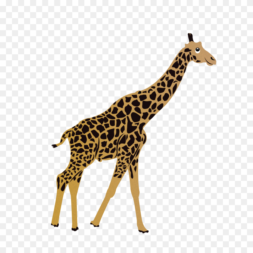 1000x1000 G Giraffe - Giraffe PNG