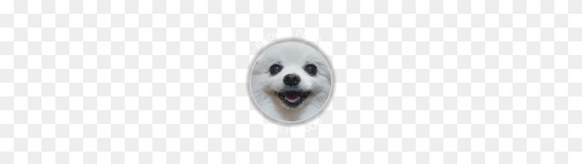 178x178 Gabe The Dog Png Png Image - Gabe The Dog PNG