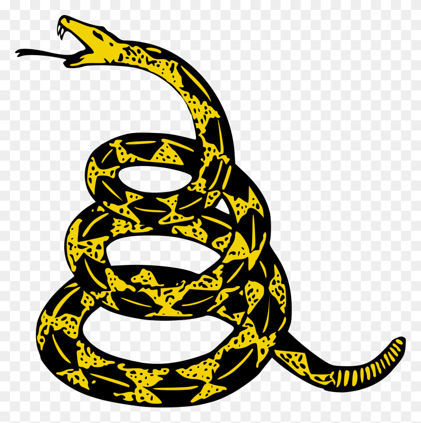 2000x2010 Gadsden Snake Png Png Image - Dont Tread On Me PNG