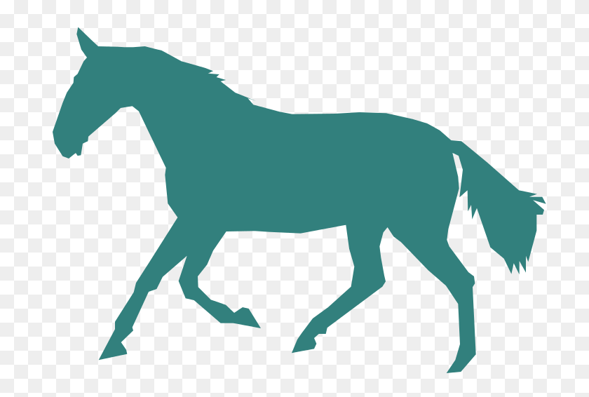 724x506 Gaited Horse - Horse PNG