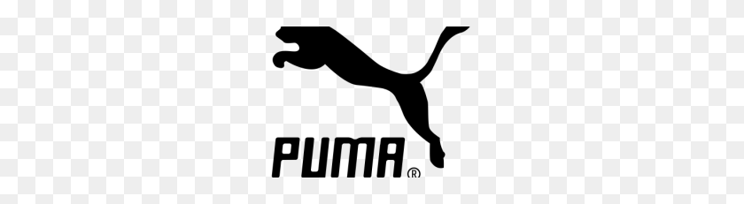 228x171 Gal Gadot Png Picture - Puma Logo PNG