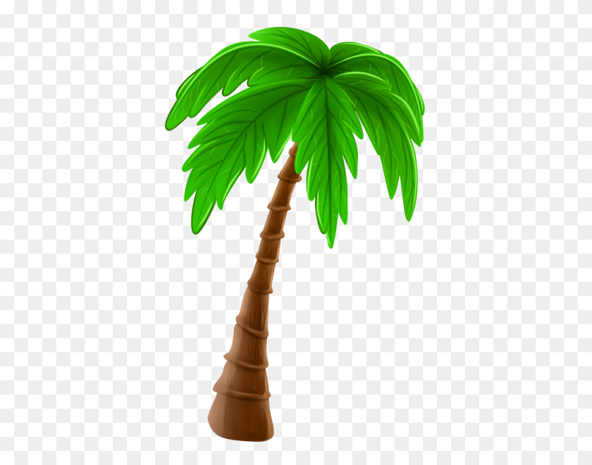 377x600 Gallery - Palm Tree PNG Transparent