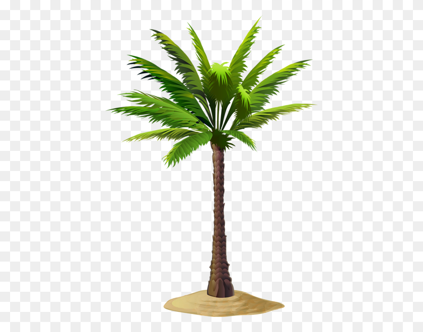 422x600 Gallery - Palms PNG