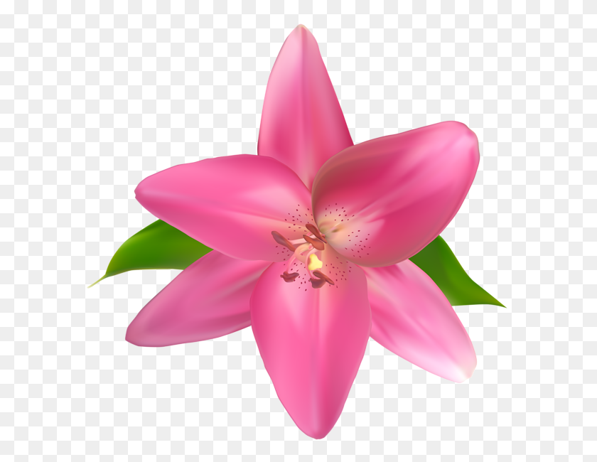 600x590 Gallery - Pink Flower Crown PNG