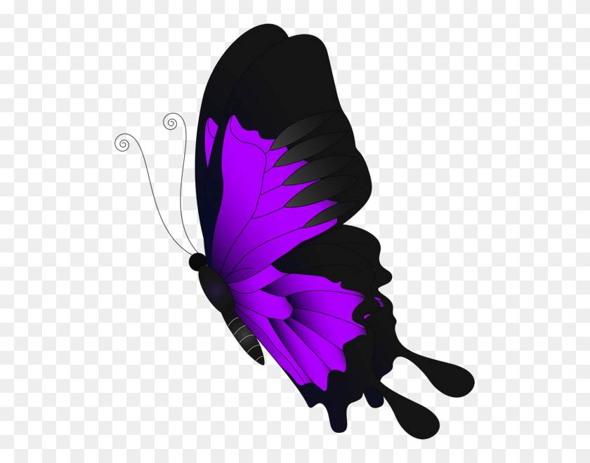 519x600 Галерея - Фиолетовая Бабочка Png