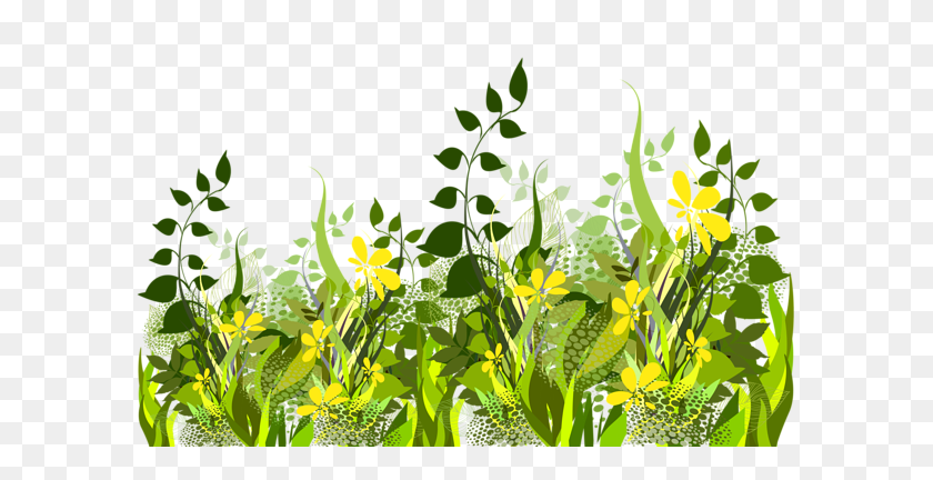 600x372 Gallery - Meadow PNG