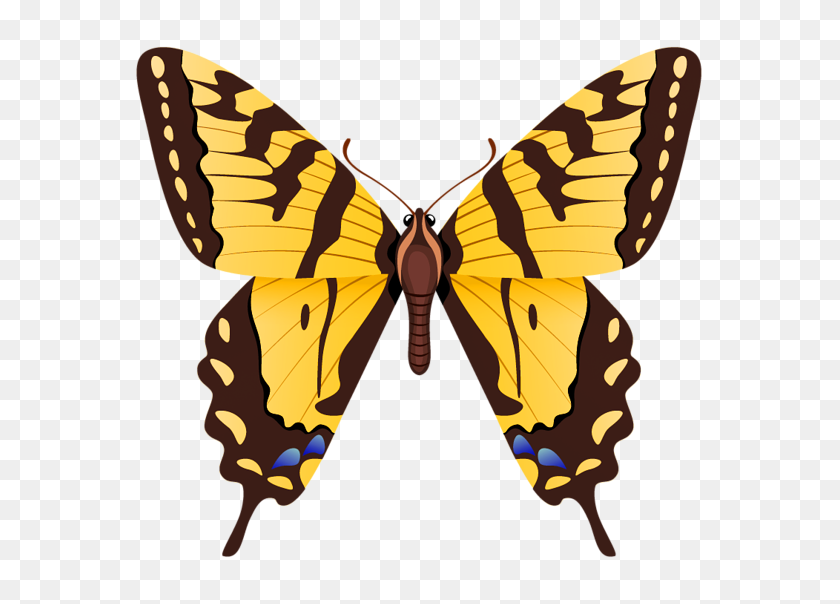 600x544 Gallery - Yellow Butterfly PNG