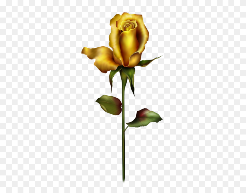 285x600 Gallery - Yellow Roses PNG
