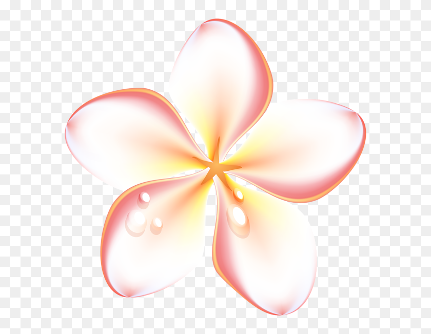 600x591 Gallery - Summer Flowers PNG