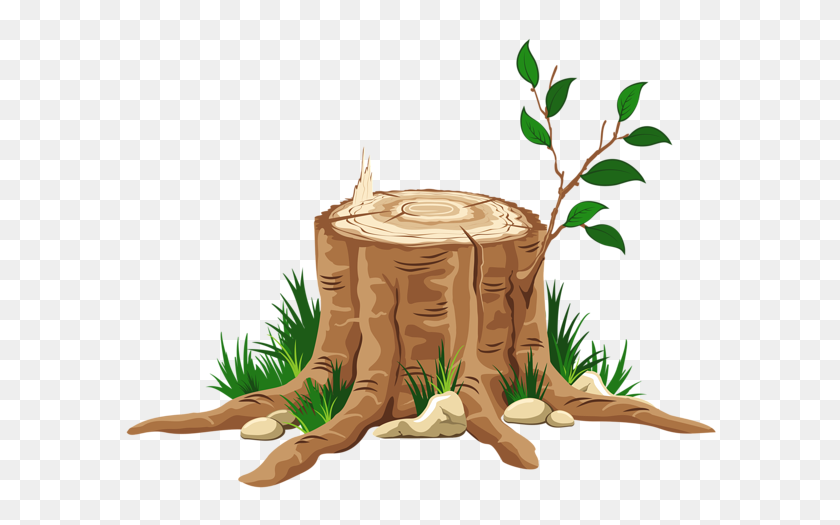 600x465 Gallery - Tree Trunk PNG