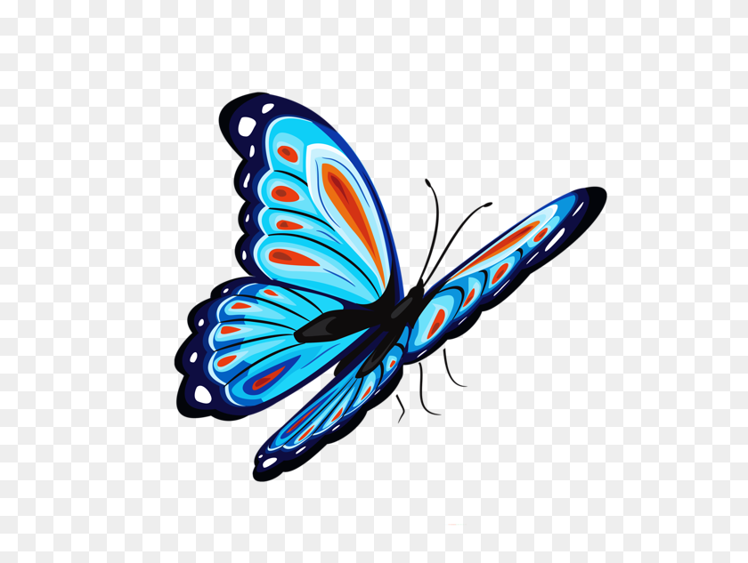 600x573 Gallery - Butterfly Vector PNG