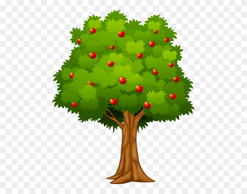 490x600 Gallery - Fruit Tree PNG