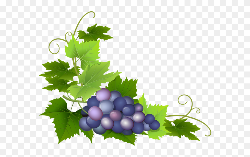 600x467 Gallery - Grape Leaves Clipart