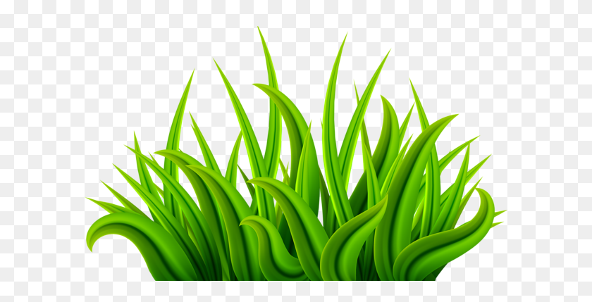 600x369 Gallery - Grass And Flowers Clipart