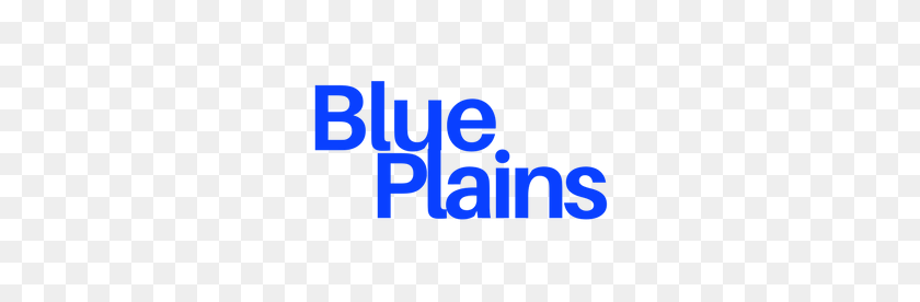 312x216 Galería Blue Plains - Bp Logo Png