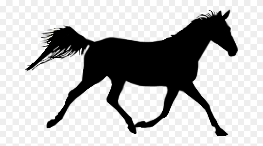 682x408 Galloping Horse Clip Art Free Cliparts - Gallop Clipart