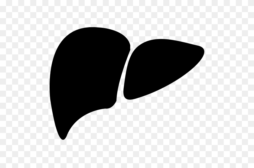512x496 Ganzhangke, Liver, Organ Icon With Png And Vector Format For Free - Liver PNG