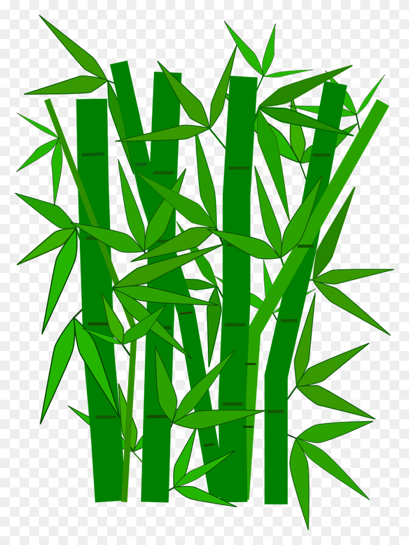 943x1280 Garden, Bamboo Forest Plant Green Leaves Branches - Forest Border Clipart