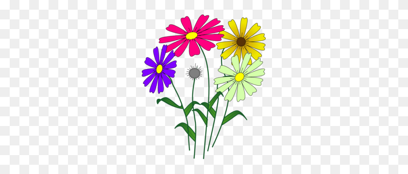 255x299 Garden Daisy Clipart, Explore Pictures - Seed Packet Clipart