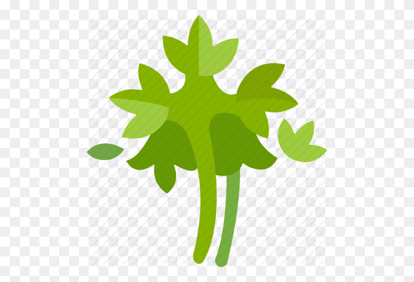 488x512 Garden, Garnish, Herb, Leaves, Parsley, Rosette, Spice Icon - Parsley PNG