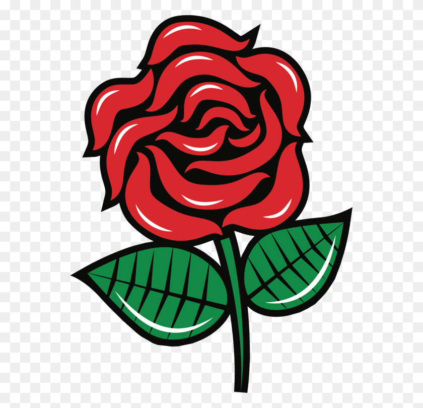 561x750 Garden Roses Black Rose Download - Black Rose PNG