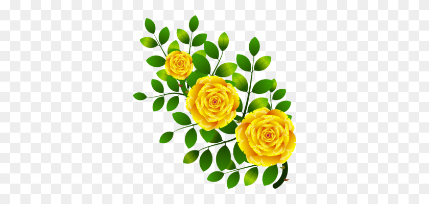 320x340 Садовые Розы, Капуста, Цветок Розы, Флорибунда, Натюрморт, Фотография - Желтые Розы Png