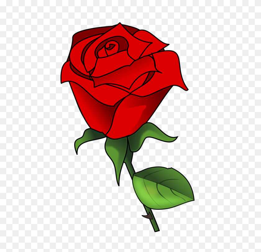 764x750 Garden Roses English Rose Download Rose Family Rose Garden Free - Family Love Clipart