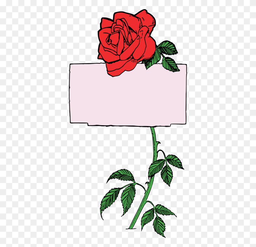 388x750 Garden Roses Floral Design Flower Pink - Rose Flower Clipart