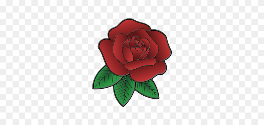 304x340 Garden Roses Flower Drawing Rose Family - Rose Drawing PNG