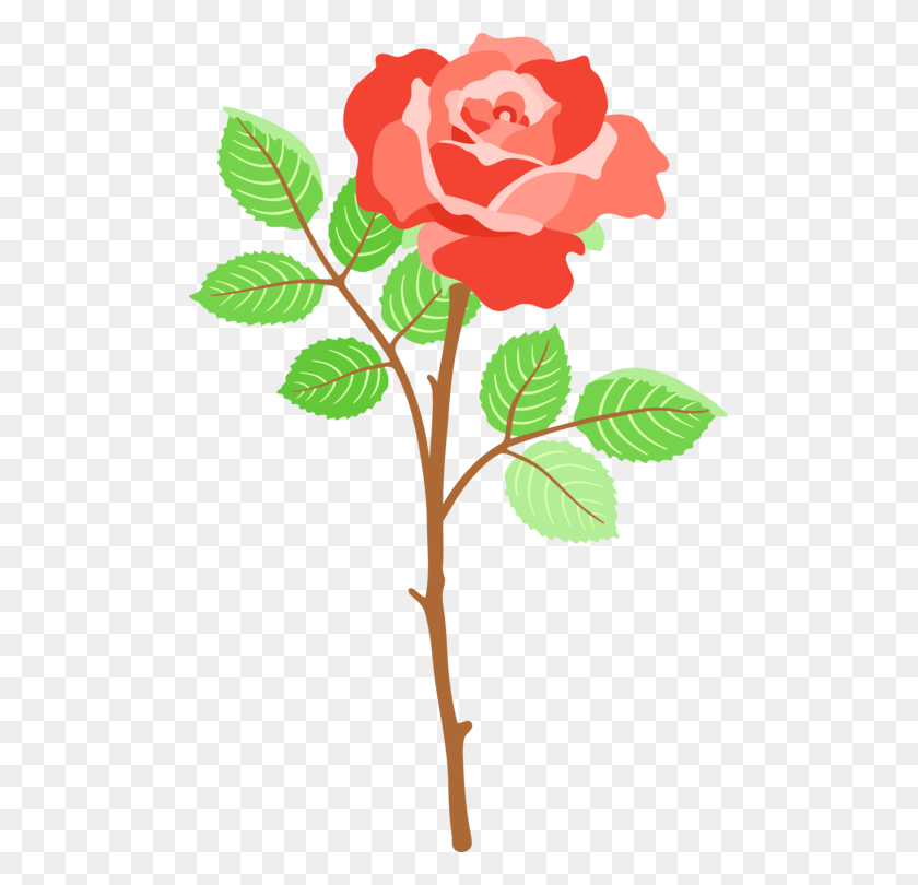 493x750 Garden Roses Whatsapp Theme Cabbage Rose - Tea Leaves Clipart