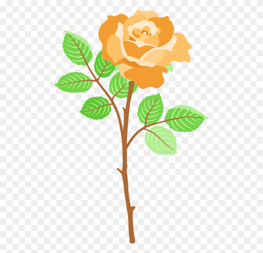 493x750 Garden Roses Whatsapp Theme Cabbage Rose - Free Garden Clipart