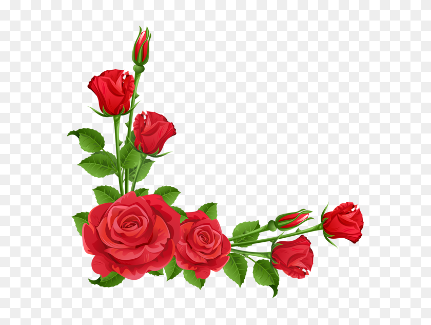 600x573 Gardening Flowers, Red - Rose Clipart Transparent