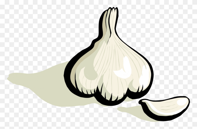 1192x750 Garlic Bread Clove Garlic Breath Vegetable - Garlic Clipart
