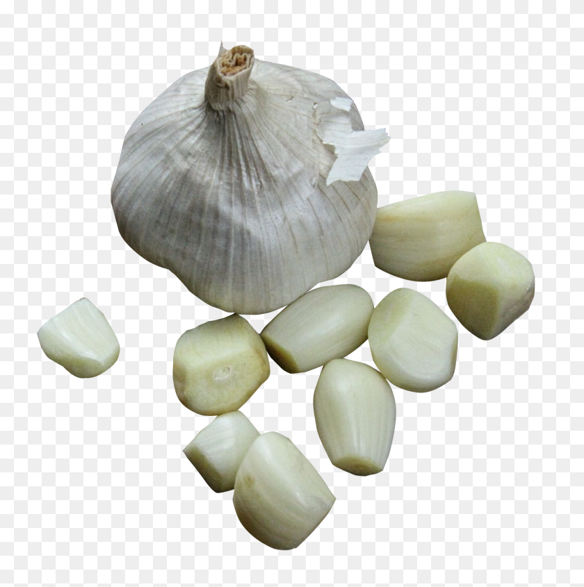 1371x1380 Garlic Png Image - Garlic PNG