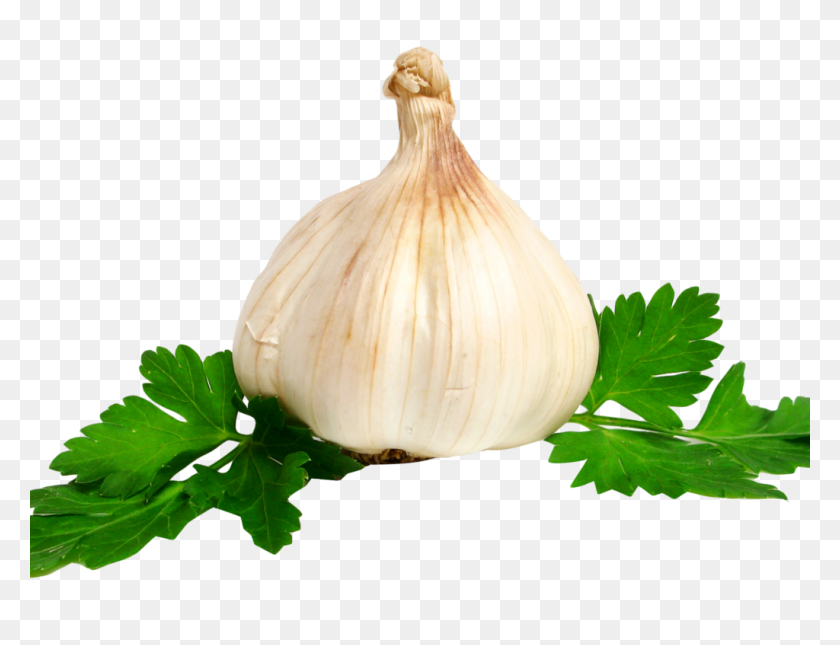 1024x768 Garlic Png Image Png Transparent Best Stock Photos - Parsley PNG