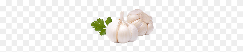 225x122 Garlic Png Images Free Download, Garlic Png - Garlic PNG